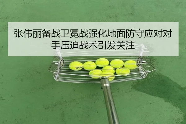 张伟丽备战卫冕战强化地面防守应对对手压迫战术引发关注